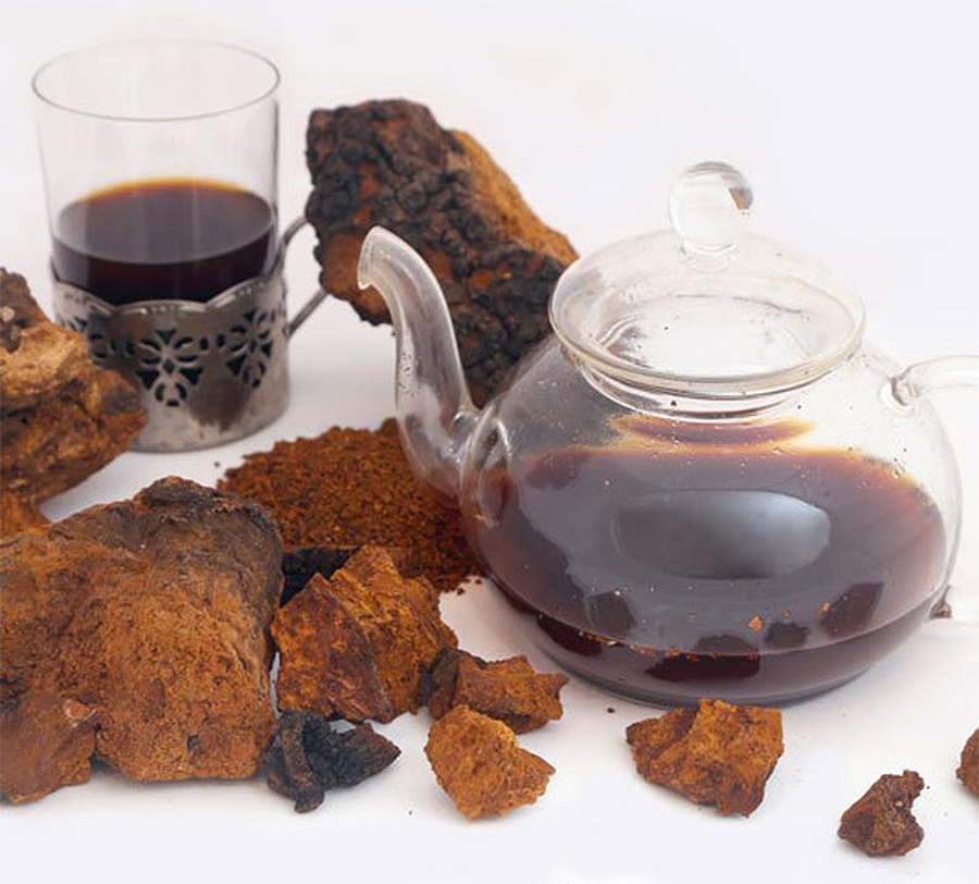 Чага, противопоказания