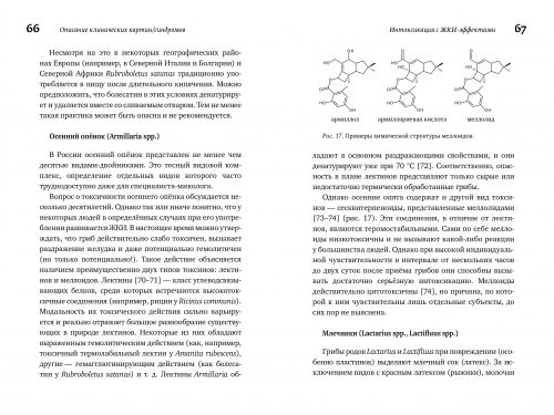М. Вишневский, А. Алтиери. Определитель синдромов отравлений ядовитыми грибами по клинической картин