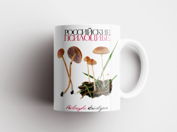 Кружка «Российские псилоцибе» Psilocybe strictipes