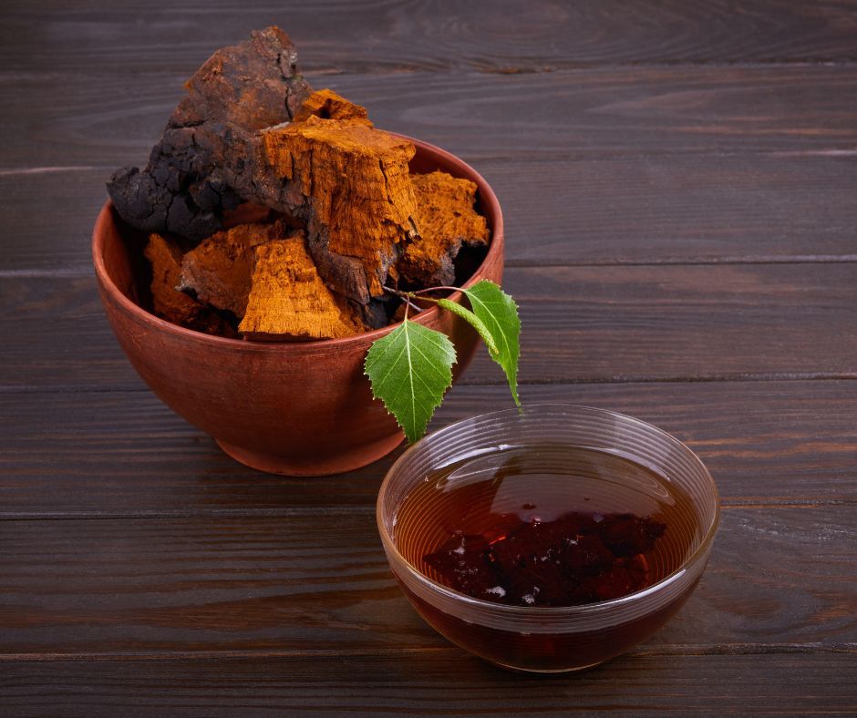 Рецепты из чаги