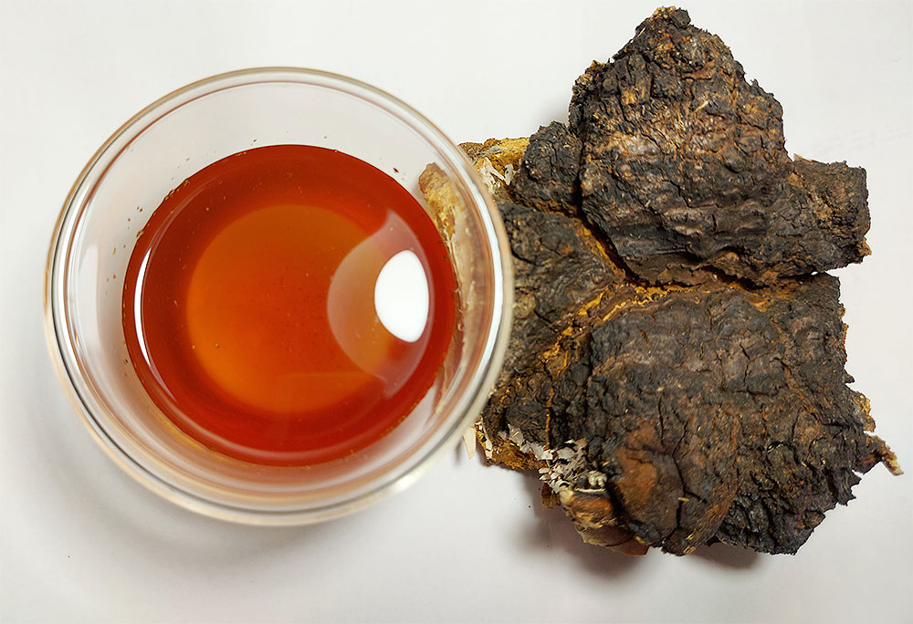 Чаговый чай и чага