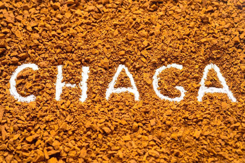 Чага исторические данные