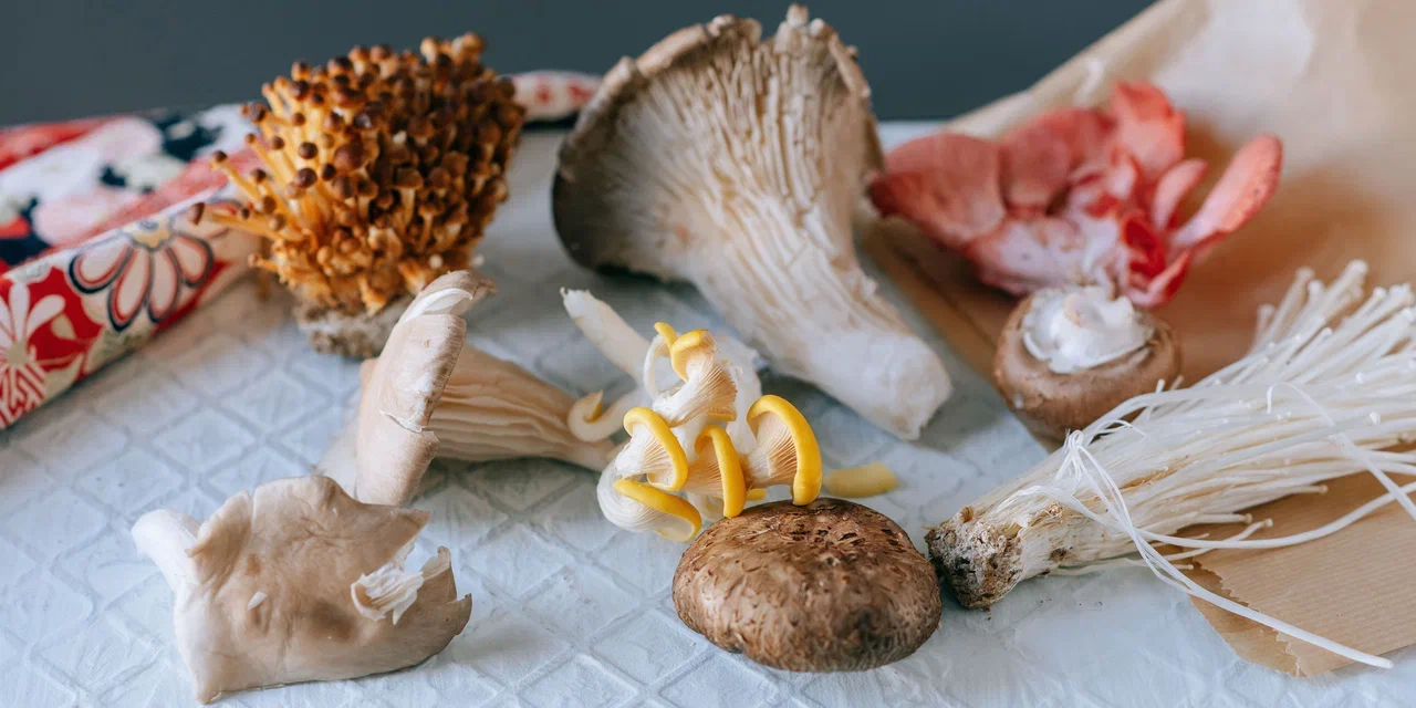 эрготионеин