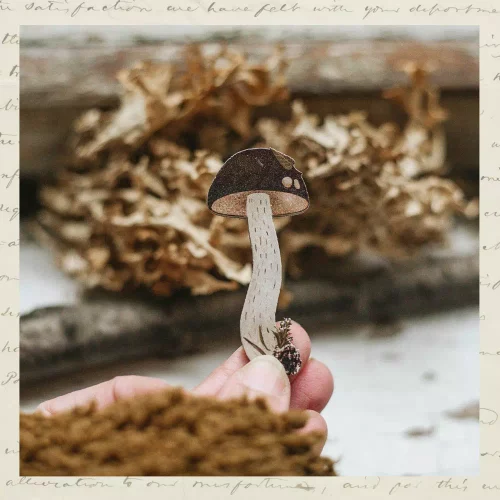 Брошка "Подберезовик"