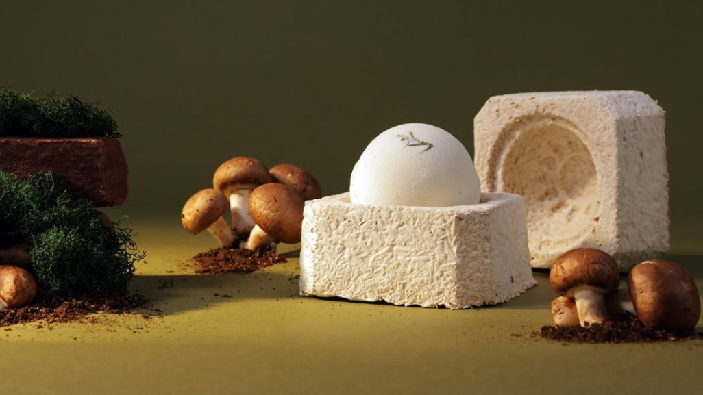 изготовление грибных материалов 1