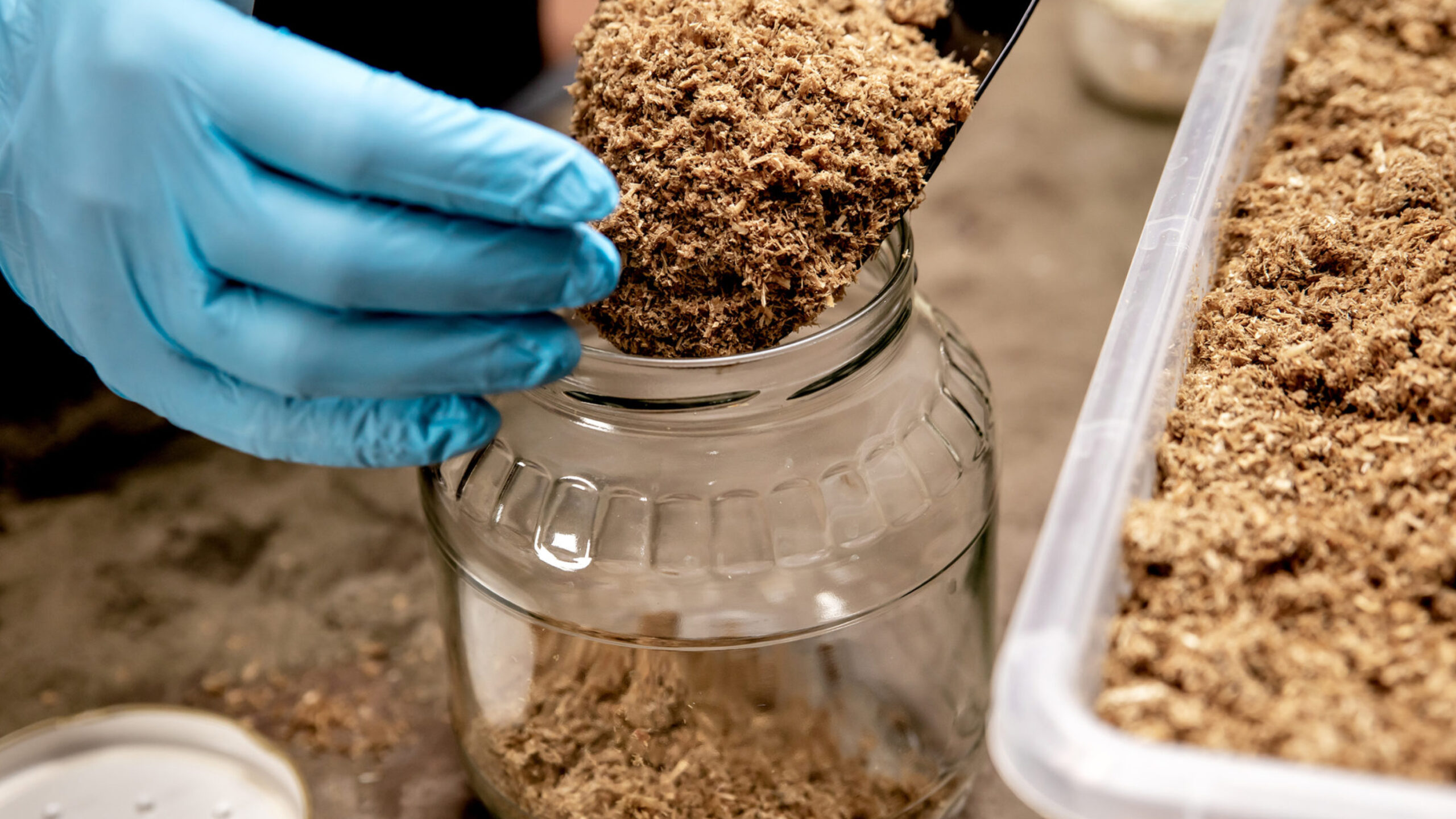 Отработанный грибной субстрат. Области применения