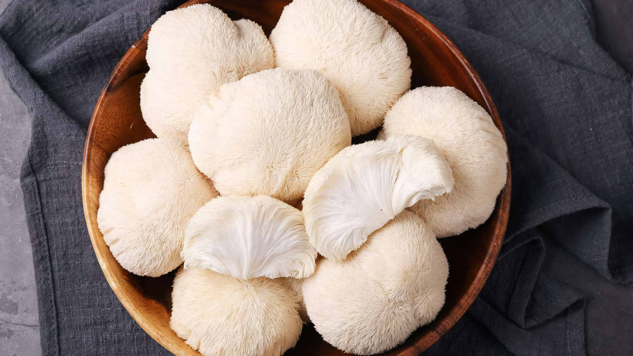 Ежовик. Интересные факты.