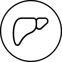 Защищает печень и помогает выводить токсины