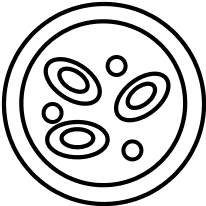 Защищает почки от камнеобразования 