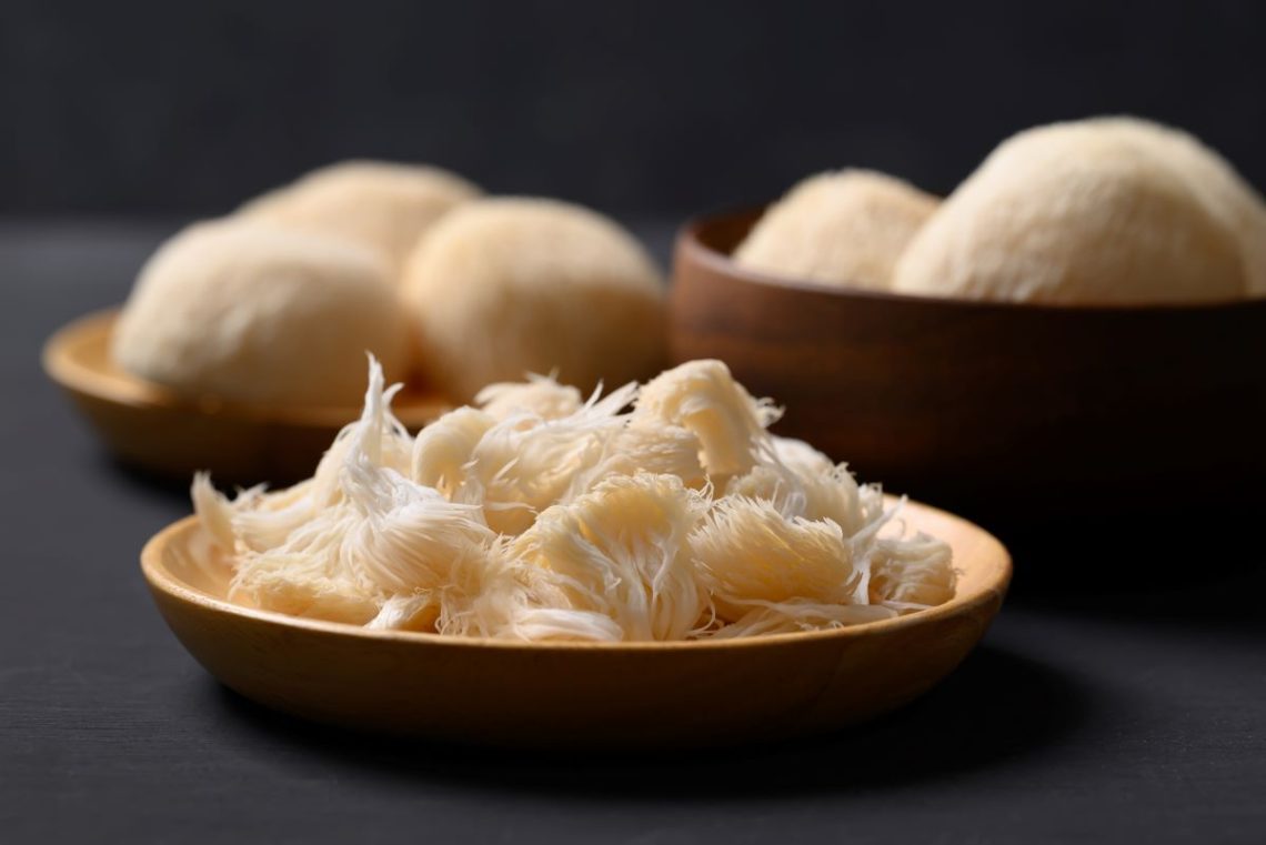 Что за гриб ежовик гребенчатый